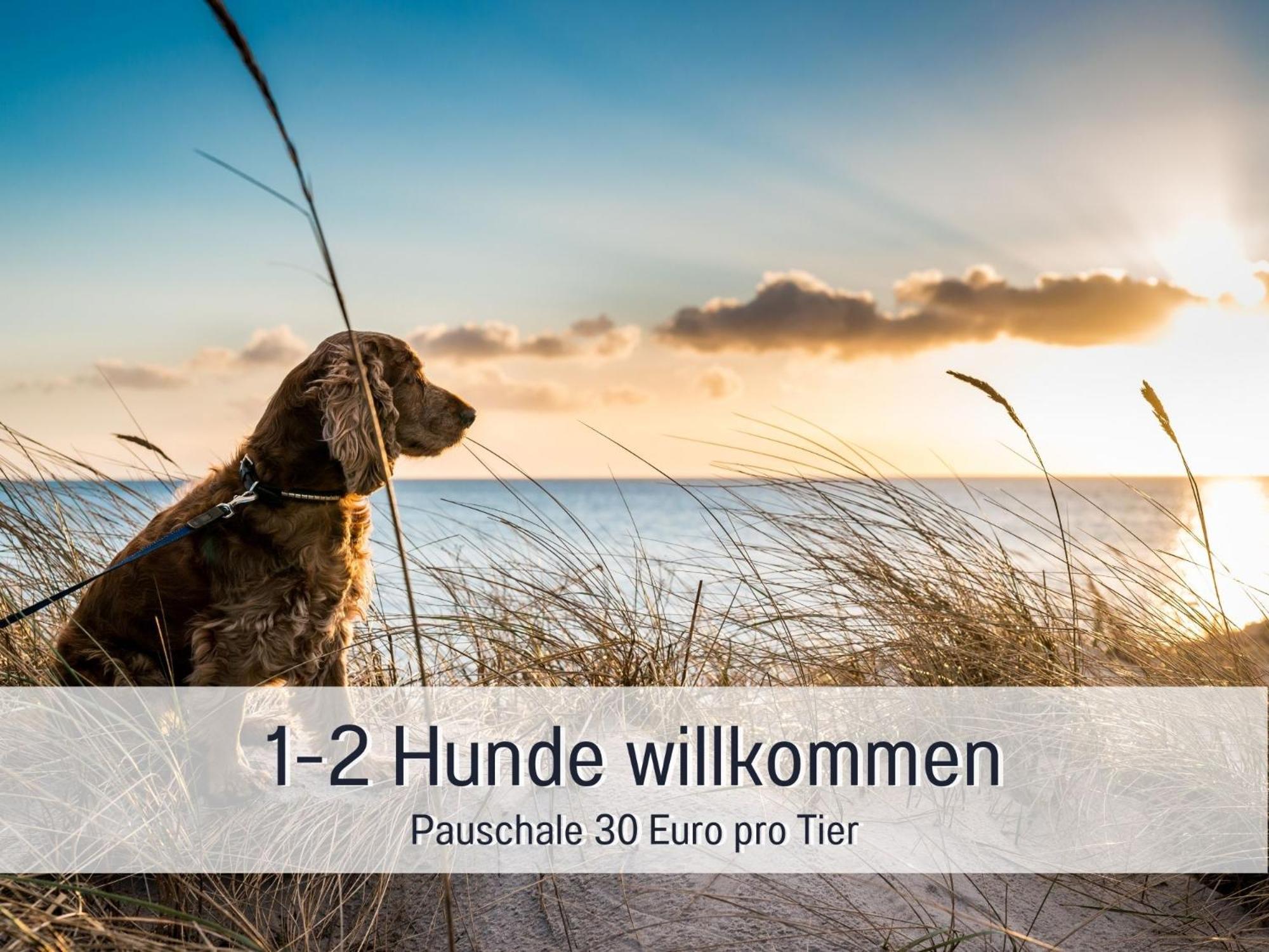 Penthouse - 3 Schlafzimmer- Sonnige Dachterrasse -Whirlpool & Alpenblick - Perfekt Fuer Romantik Oder Familienurlaub Mit Kind, Hund Willkommen - By Ferienwohnenamsee - Uberlingen Dış mekan fotoğraf