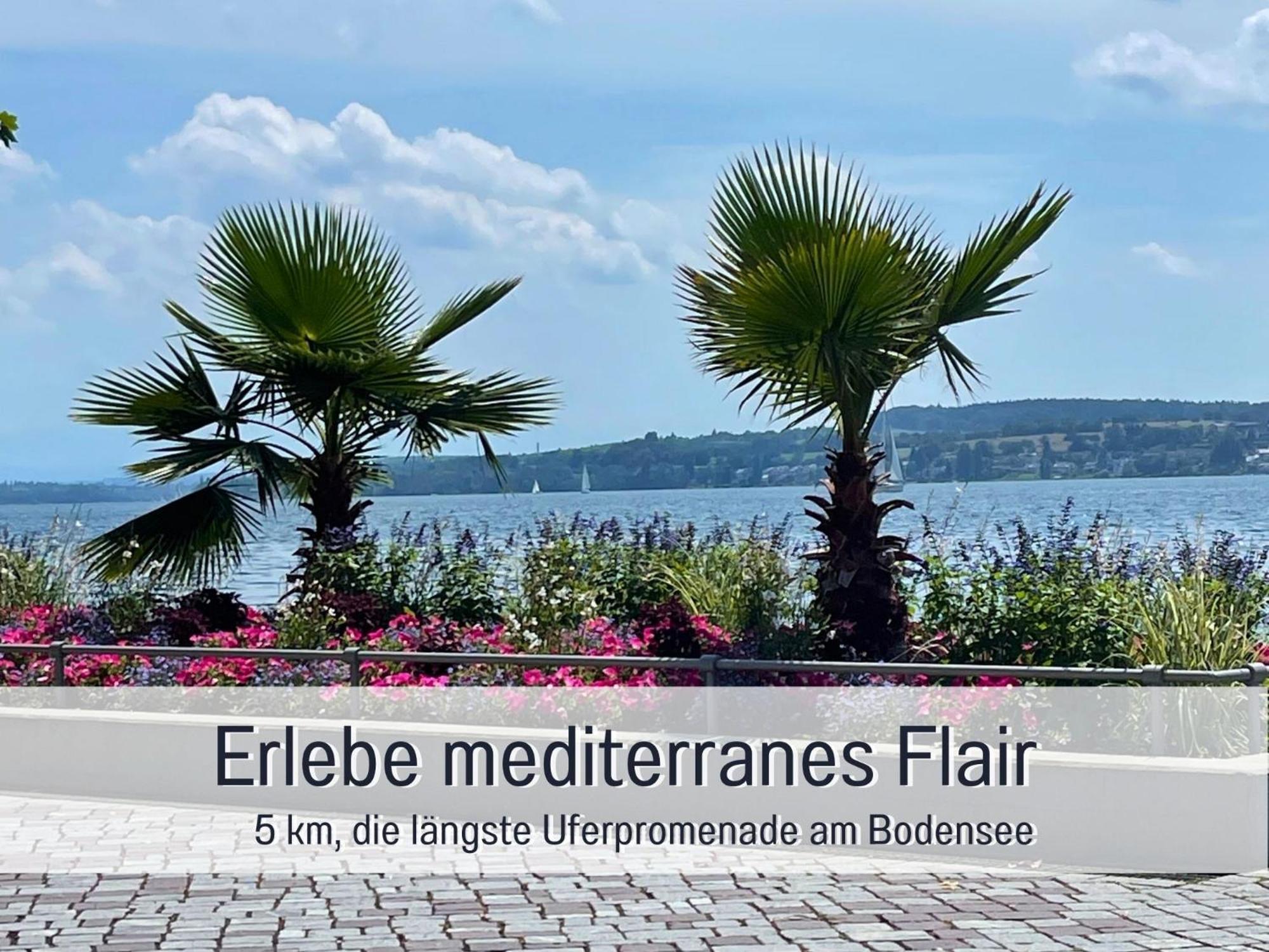 Penthouse - 3 Schlafzimmer- Sonnige Dachterrasse -Whirlpool & Alpenblick - Perfekt Fuer Romantik Oder Familienurlaub Mit Kind, Hund Willkommen - By Ferienwohnenamsee - Uberlingen Dış mekan fotoğraf