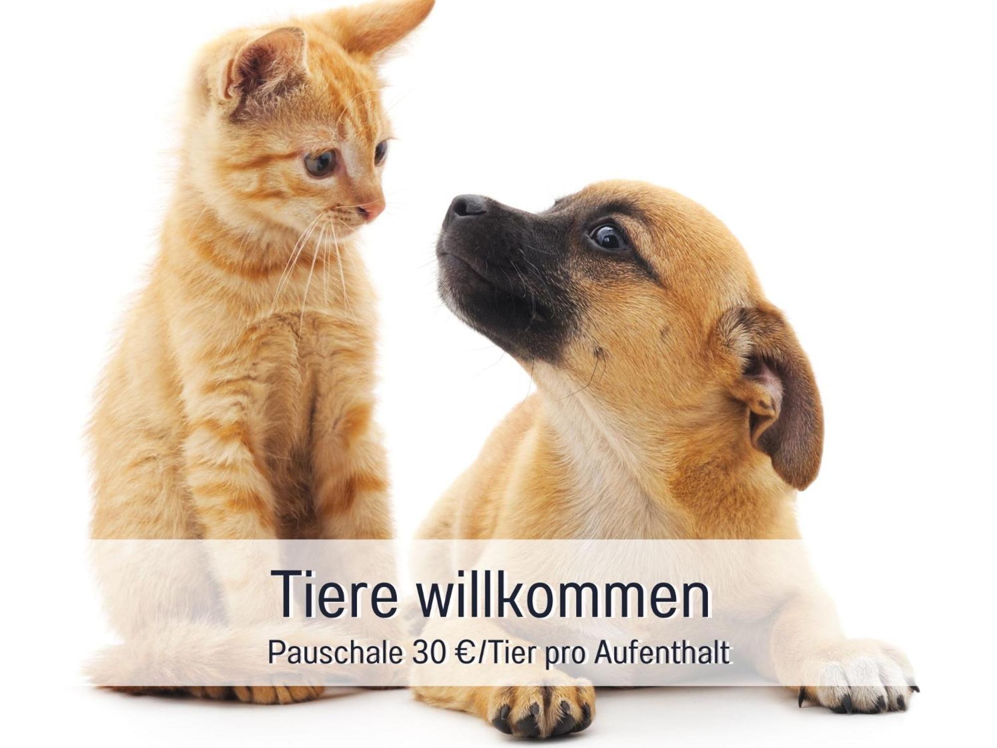 Penthouse - 3 Schlafzimmer- Sonnige Dachterrasse -Whirlpool & Alpenblick - Perfekt Fuer Romantik Oder Familienurlaub Mit Kind, Hund Willkommen - By Ferienwohnenamsee - Uberlingen Dış mekan fotoğraf